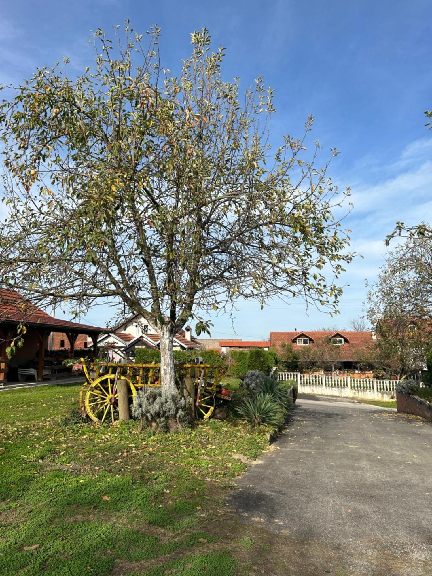 B&B Lukac Kutina Exterior foto